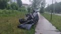 В Томске легковушка сбила собаку и перевернулась, животное погибло