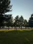 Просто наслаждаемся летом. @tomsk_time