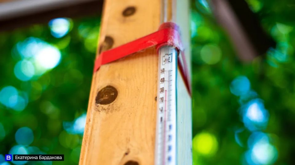 Солнечный удар: как распознать, предотвратить и оказать помощь