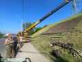Сегодня въезд в город украсит цветочный герб