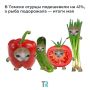 В Томске огурцы подешевели на 41%, а рыба подорожала — итоги мая
