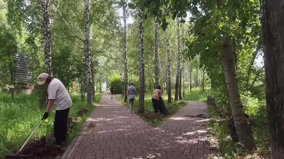  :        , ,    ,             