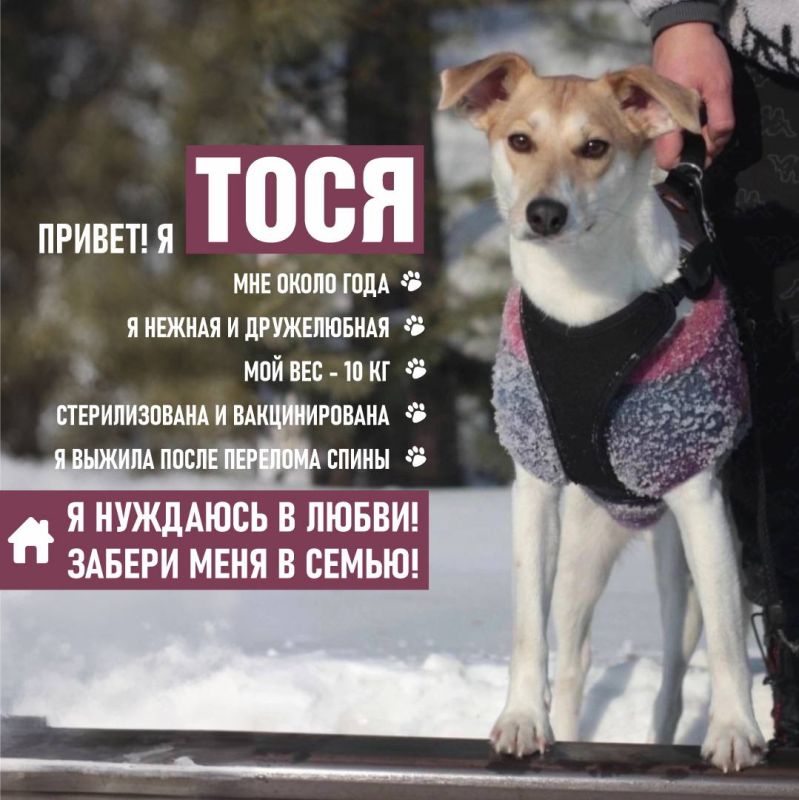   !.  ,       