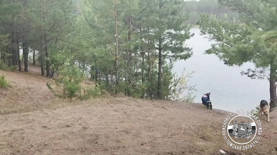       40- 