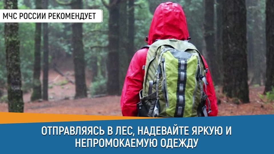 #   .   ,        ,       