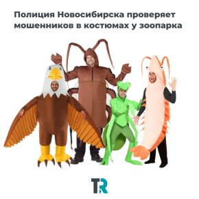        ,       