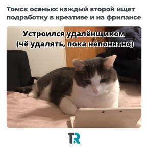    :      
