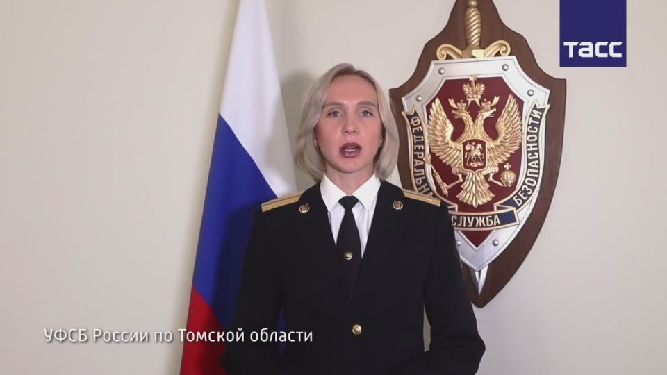 В Томской области выявили канал незаконного экспорта леса в Узбекистан, объем предотвращенного ущерба составил более 27 млн рублей, сообщили ТАСС в УФСБ по региону