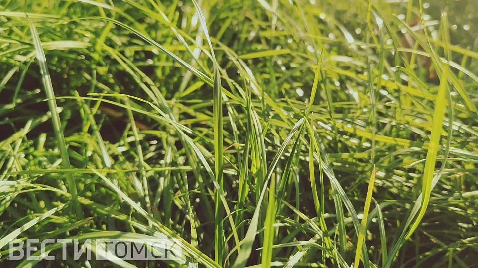 Наслаждаемся последними тёплыми деньками