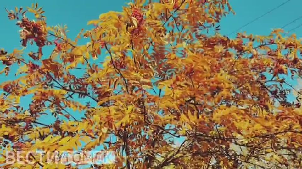 Наслаждаемся последними теплыми деньками