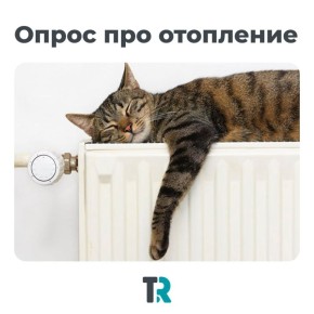    , ?