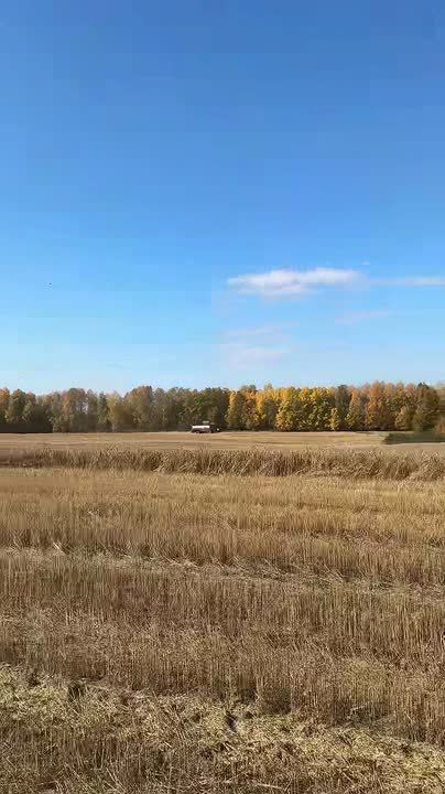 Представьте: лето, поля пшеницы и мощный комбайн, который собирает урожай под веселую мелодию из «Ну, погоди!»