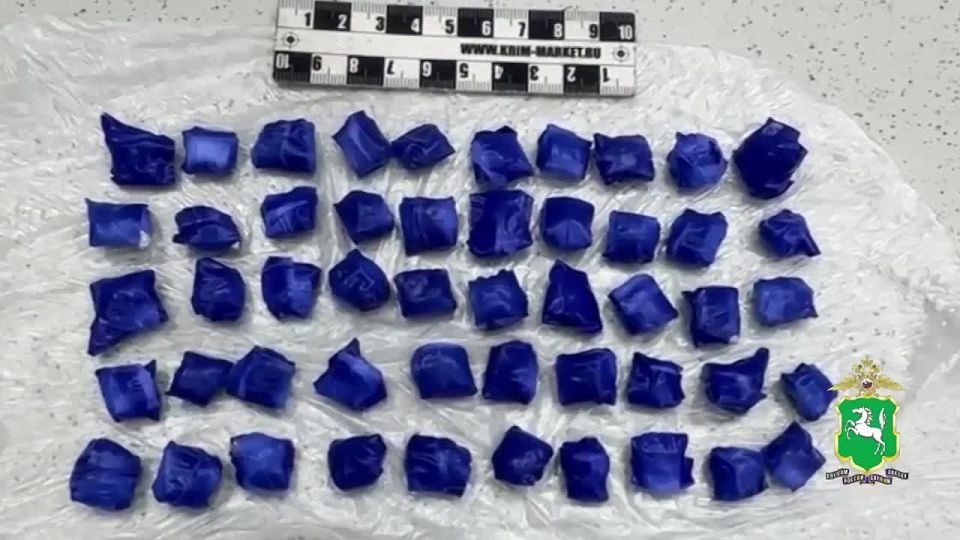 В Томске сотрудники полиции задержали наркокурьера, подозреваемого в попытке сбыта свыше 600 свертков с запрещёнными веществами