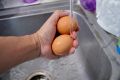 Нужно ли мыть свежие яйца? Разбираемся с мнением экспертов