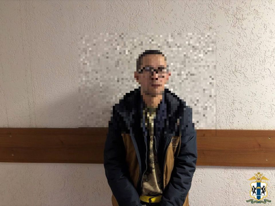 В Томске задержали 42-летнего мужчину, подозреваемого в поджоге дома в Новосибирске, где погибли четыре человека