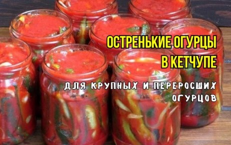 Огурцы в кетчупе: пикантный рецепт для зимнего стола