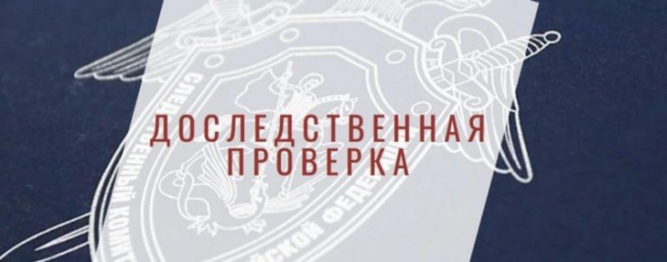 В Томске организовано проведение доследственной проверки по сообщению в соцмедиа о нападении собаки на ребенка