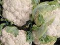 Россия на продовольственном фронте: топ-10 самых растущих продуктов за годы