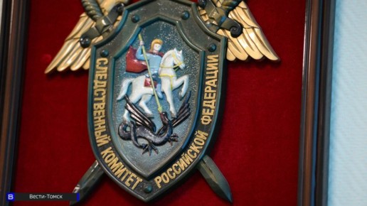 Следственный комитет проверит жесткое избиение подростка в Томске