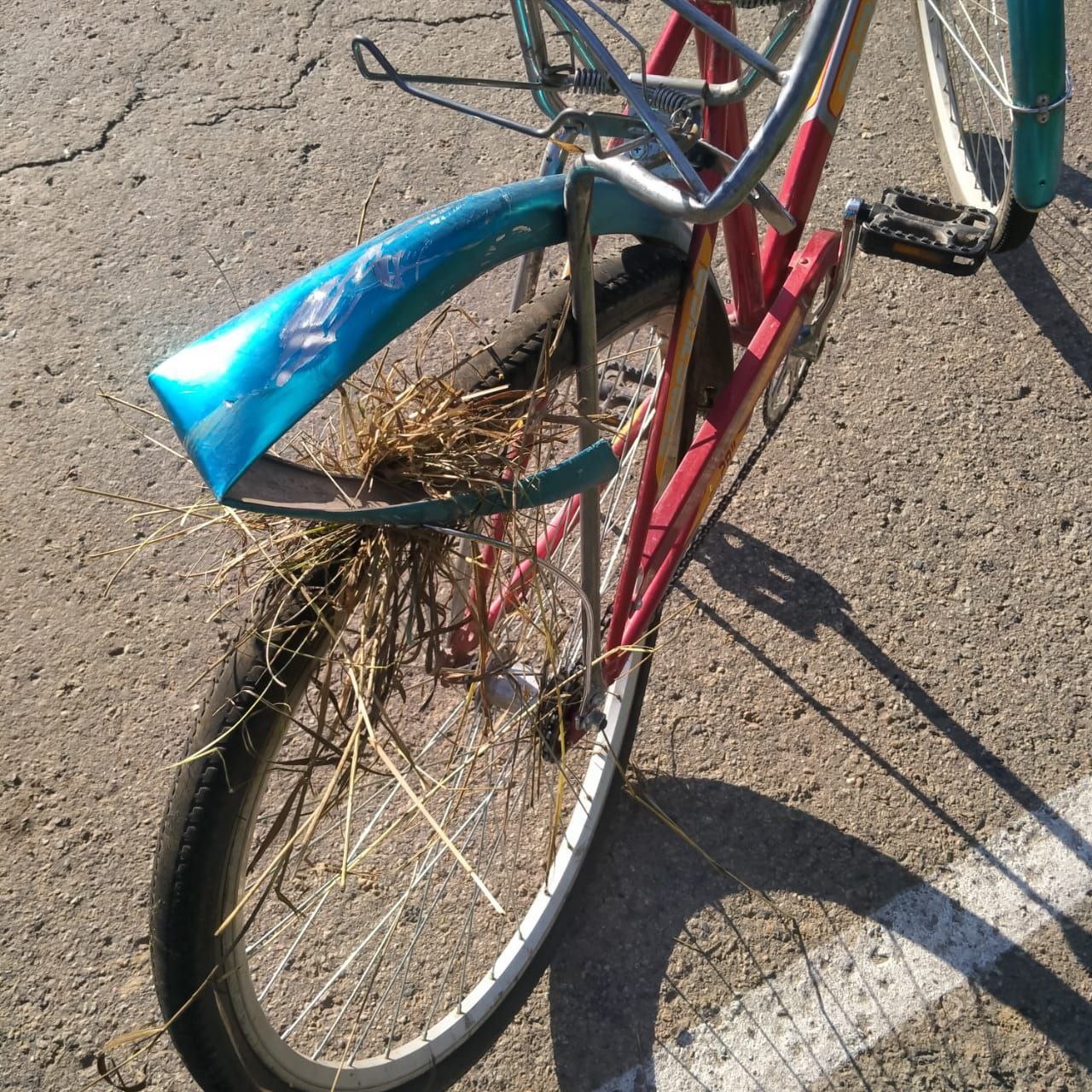 В Кожевниковском районе Томской области будут судить водителя КамАЗа, сбившего насмерть на трассе пожилого велосипедиста В Кожевниковском районе Томской области будут судить водителя КамАЗа, сбившего насмерть на трассе пожилого велосипедиста