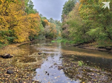Ноябрь 2025: Беларусь ждет уникальные изменения и приятные выходные