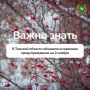Резкая смена погоды: готовимся к снегу, ветру и гололедице