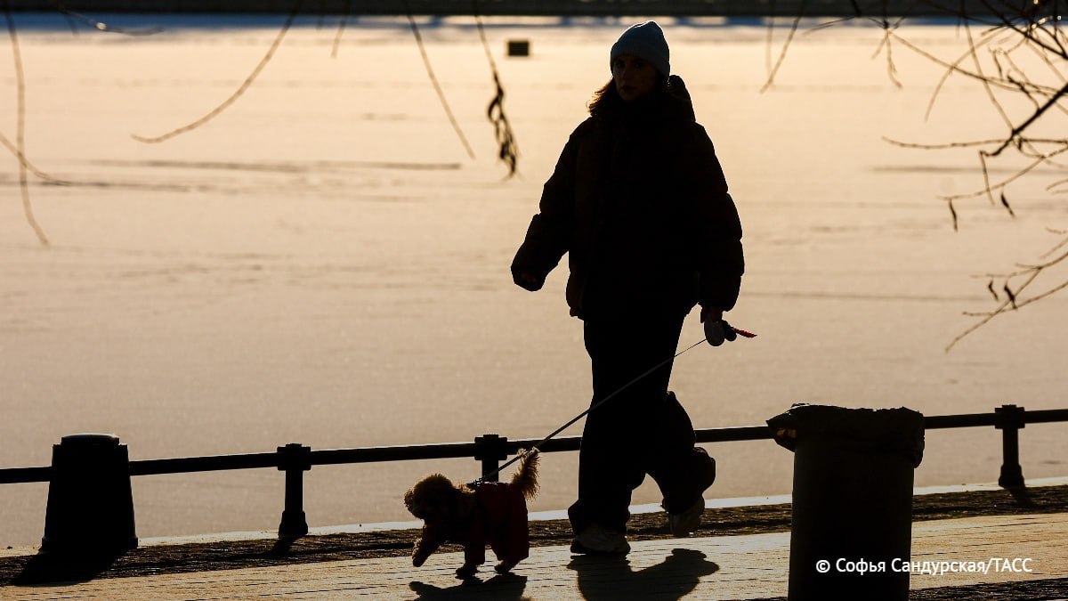 Теплая погода с усилением ветра до 16 м/с прогнозируется сегодня в ряде регионов Сибири