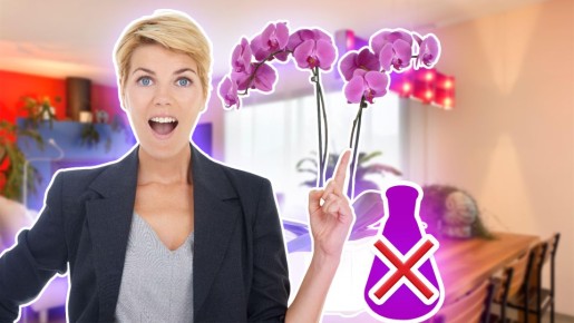 Сплошной вред и никакой пользы: не вздумайте поливать этим средством цветущие орхидеи