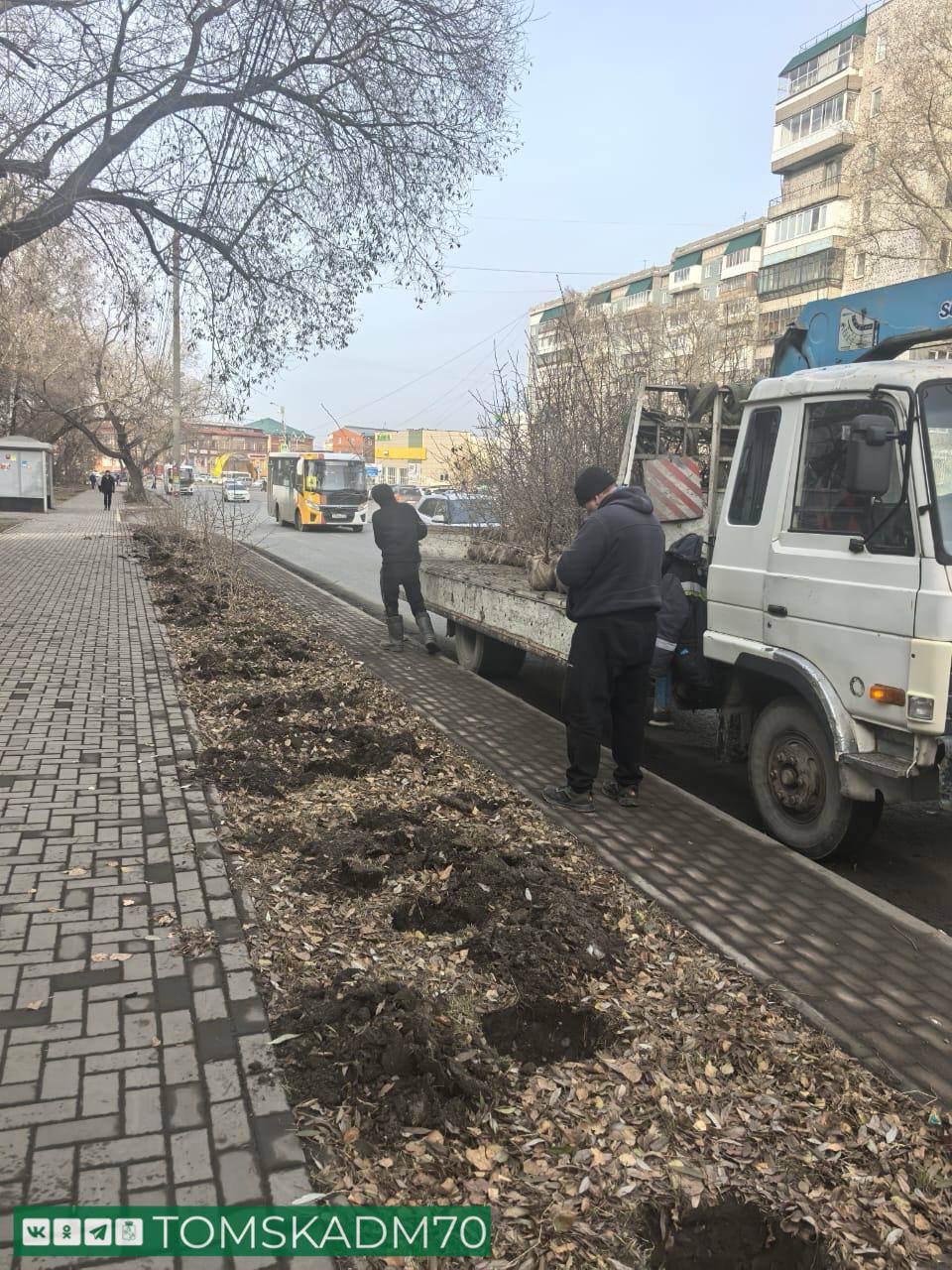 Уссурийские груши высадили на ул. Интернационалистов