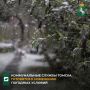 По данным метеорологических служб, в ближайшие дни на территории Томска ожидается резкое ухудшение погодных условий