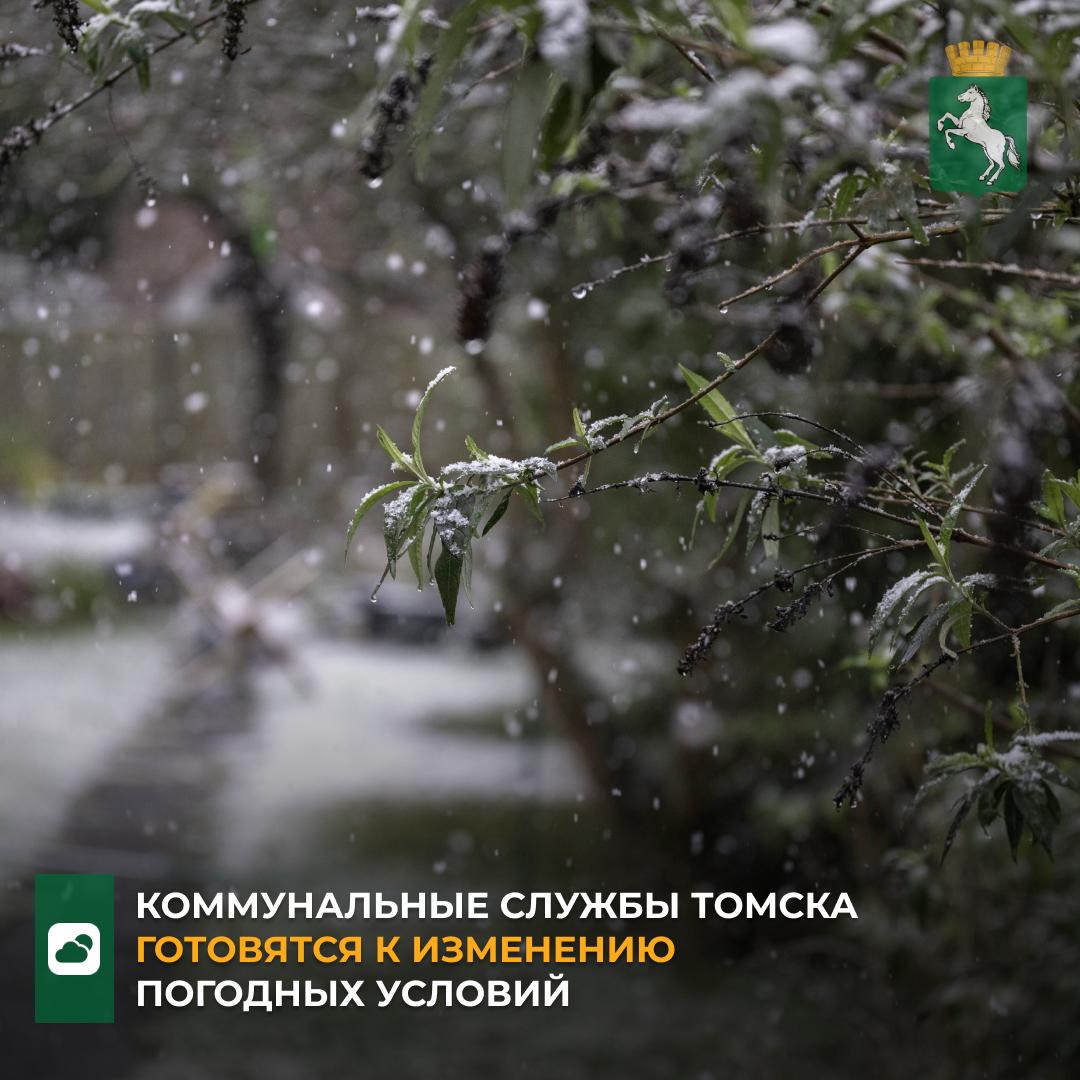 По данным метеорологических служб, в ближайшие дни на территории Томска ожидается резкое ухудшение погодных условий