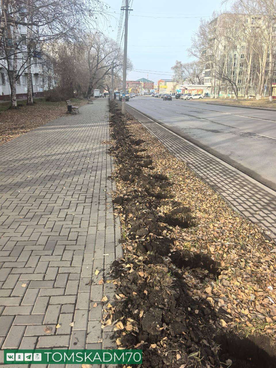 Уссурийские груши высадили на ул. Интернационалистов Уссурийские груши высадили на ул. Интернационалистов