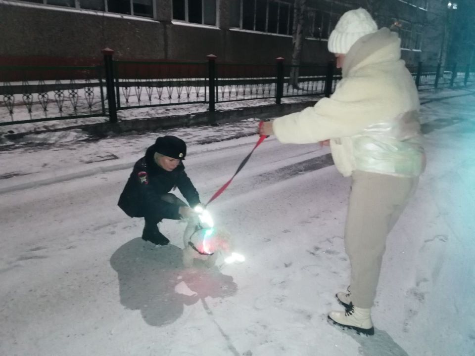 В городе Колпашево сотрудники Госавтоинспекции позаботились о безопасности пешеходов, сделав заметными их питомцев В городе Колпашево сотрудники Госавтоинспекции позаботились о безопасности пешеходов, сделав заметными их питомцев