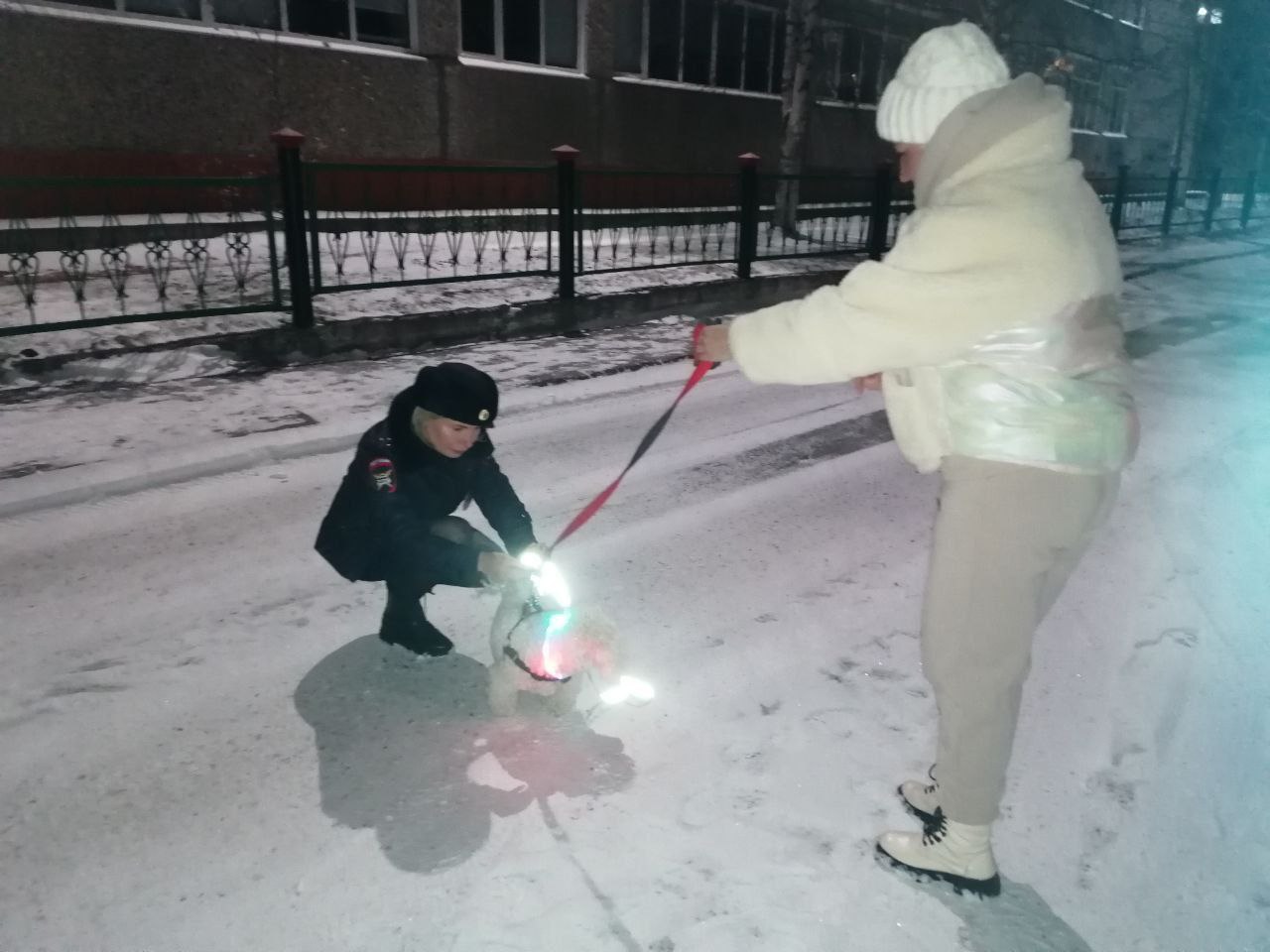 В городе Колпашево сотрудники Госавтоинспекции позаботились о безопасности пешеходов, сделав заметными их питомцев В городе Колпашево сотрудники Госавтоинспекции позаботились о безопасности пешеходов, сделав заметными их питомцев