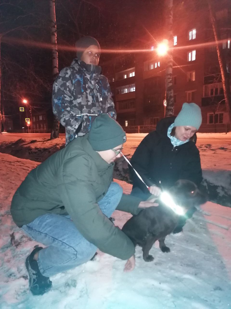 В городе Колпашево сотрудники Госавтоинспекции позаботились о безопасности пешеходов, сделав заметными их питомцев