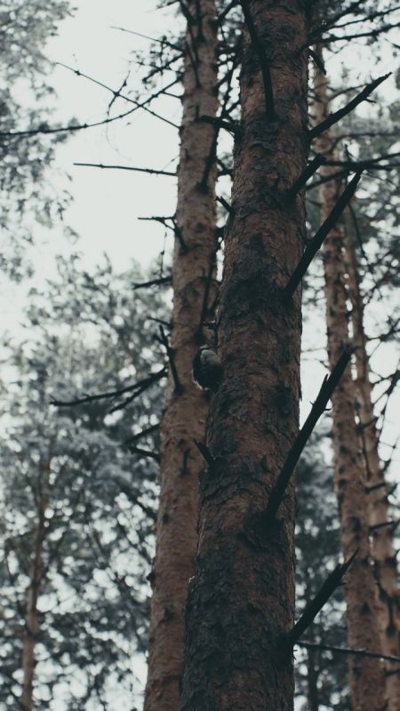  , ,                 -