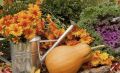 Осенние хлопоты: 10 важных дел в саду в сентябре