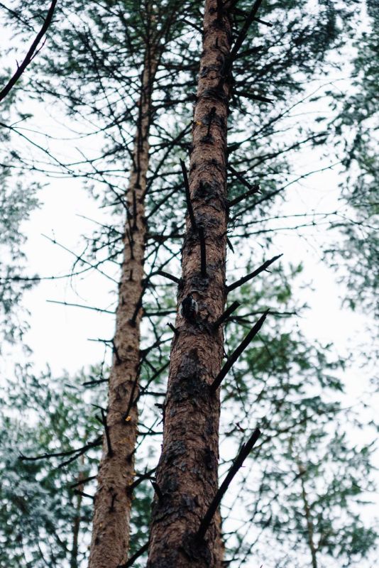  , ,                 -