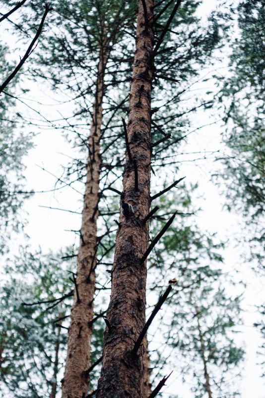  , ,                 -