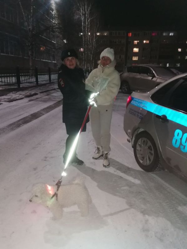 В городе Колпашево сотрудники Госавтоинспекции позаботились о безопасности пешеходов, сделав заметными их питомцев В городе Колпашево сотрудники Госавтоинспекции позаботились о безопасности пешеходов, сделав заметными их питомцев