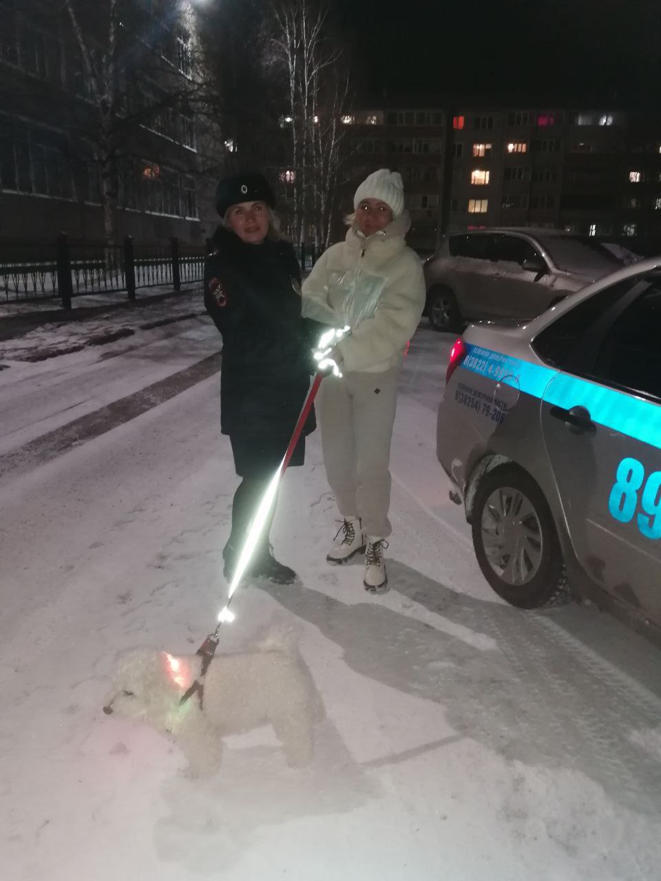 В городе Колпашево сотрудники Госавтоинспекции позаботились о безопасности пешеходов, сделав заметными их питомцев В городе Колпашево сотрудники Госавтоинспекции позаботились о безопасности пешеходов, сделав заметными их питомцев