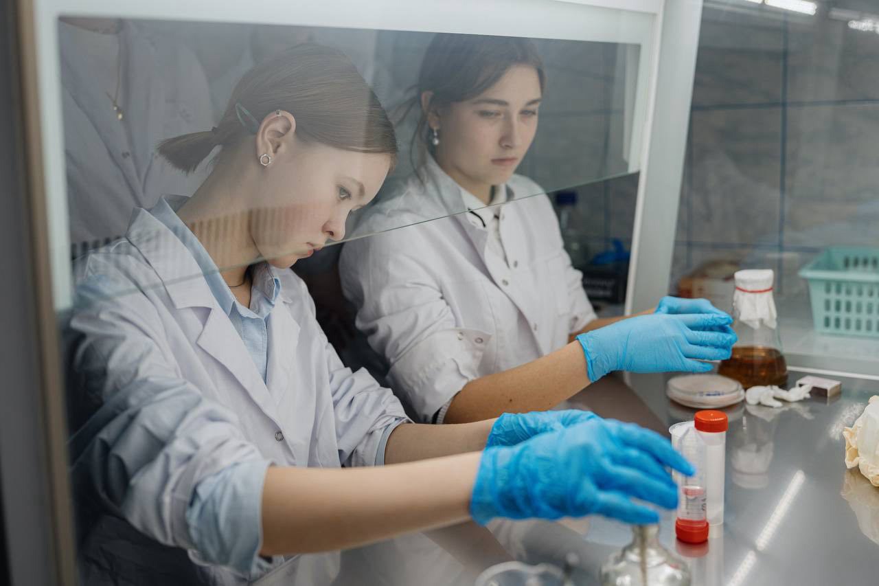 В школе «Перспектива» в Томске открыли новое пространство, где школьники будут изучать мир грибов В школе «Перспектива» в Томске открыли новое пространство, где школьники будут изучать мир грибов