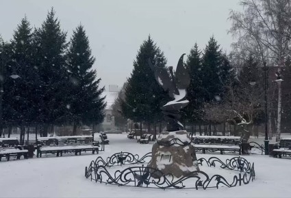 Доброе снежное утро, уважаемые томичи!