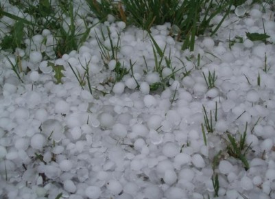 Секреты защиты растений от града: что делать при ударе стихии