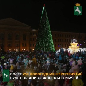 Районные администрации, муниципальные библиотеки, дома культуры, музеи, учреждения образования и физической культуры и спорта проведут более 250 различных мероприятий для томичей в новогодние праздники