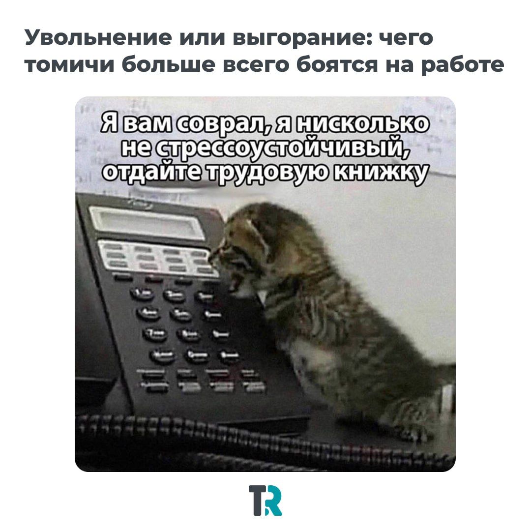 Бесстрашные томичи на работе