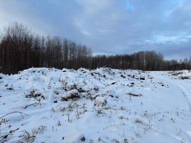 Прокуратура Шегарского района Томской области указала муниципалитету на проблему отсутствия мест накопления коммунальных отходов в селе Гусево