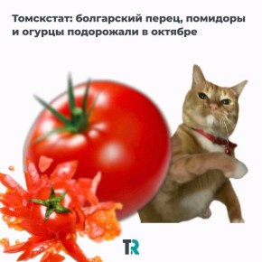 Болгарские перцы, огурцы да помидоры — за что…