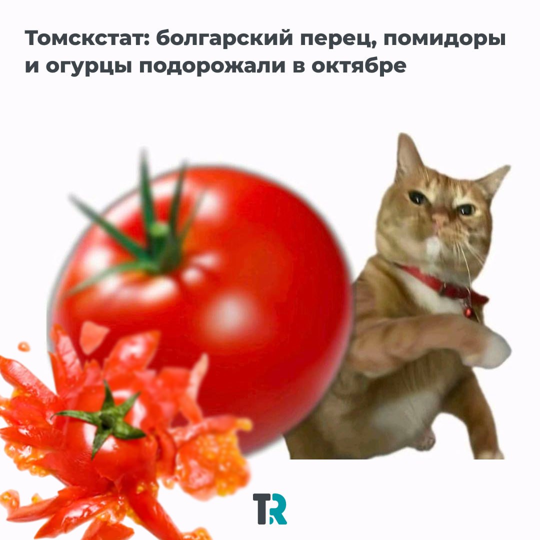 Болгарские перцы, огурцы да помидоры — за что…
