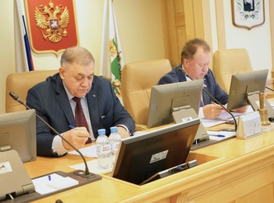 Депутаты поддержали законопроект по усилению кадрового потенциала системы опеки и попечительства региона